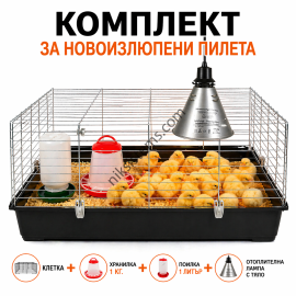 Клетка за Отглеждане на Новоизлюпени Пилета - 58 х 38 х 33 см.